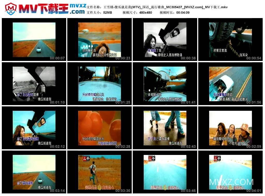 王雪娥-傻瓜就是我(MTV)_国语_流行歌曲_MC305437